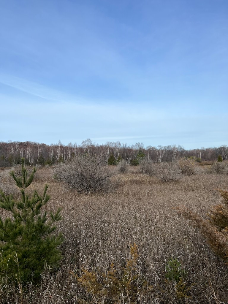 Orchard Road Fish Creek, WI 54212 - Photo 2 of 2