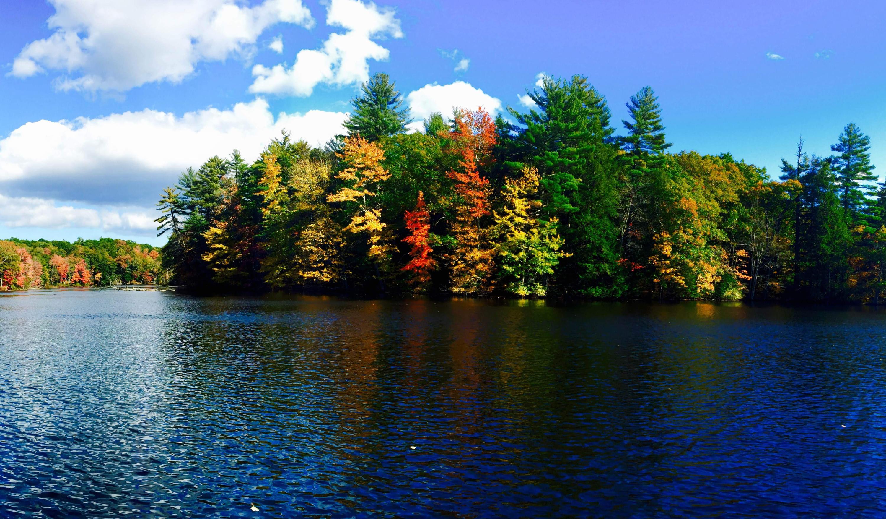 78 Old Falls Pond Road Alfred, ME 04002 - Photo 31 of 34 Pond in Fall