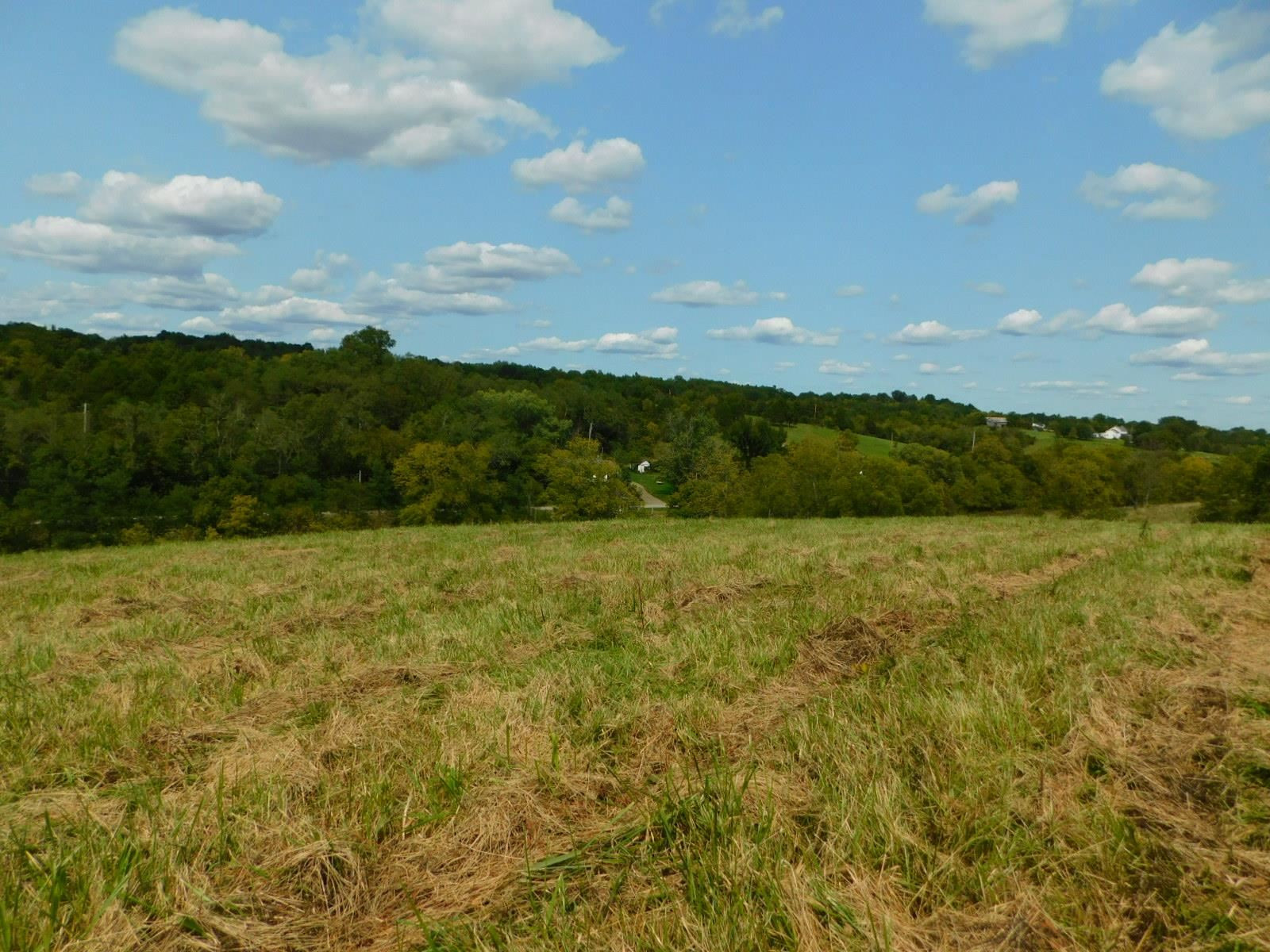 0 Scaffold Lick Creek Road Berry, KY 41003 - Photo 15 of 22 Gallery Image 15