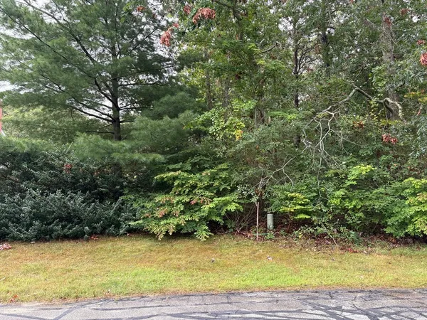 a view of a swimming pool with a yard