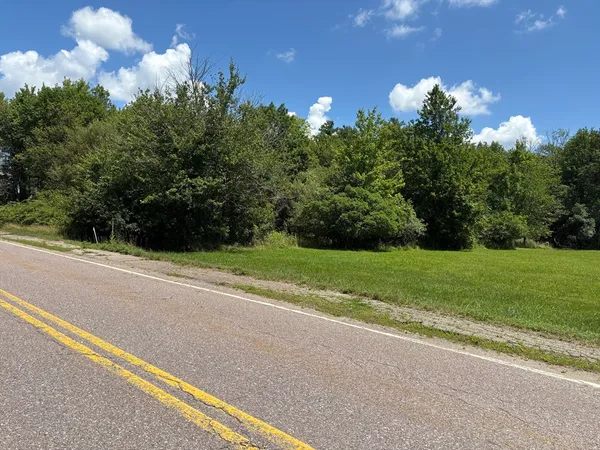 a view of a yard with plants and wooden fence