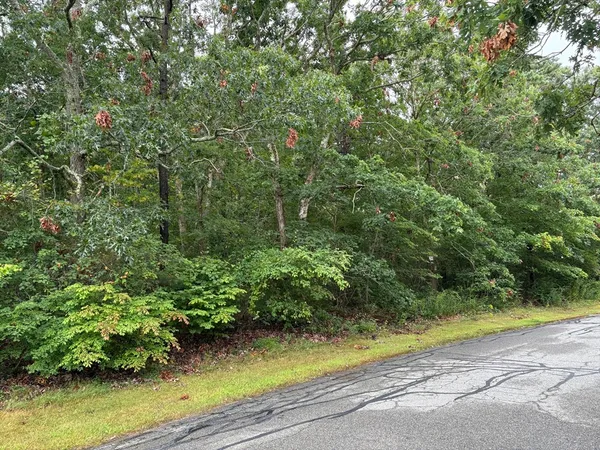 a white house that has a tree in front of it