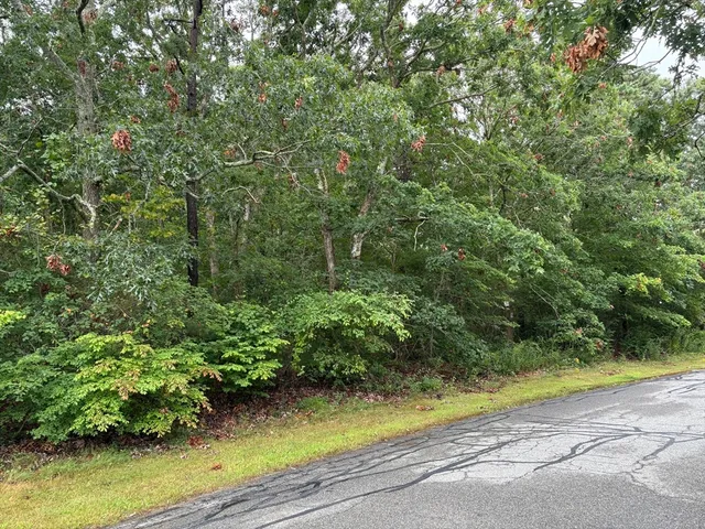 a white house that has a tree in front of it