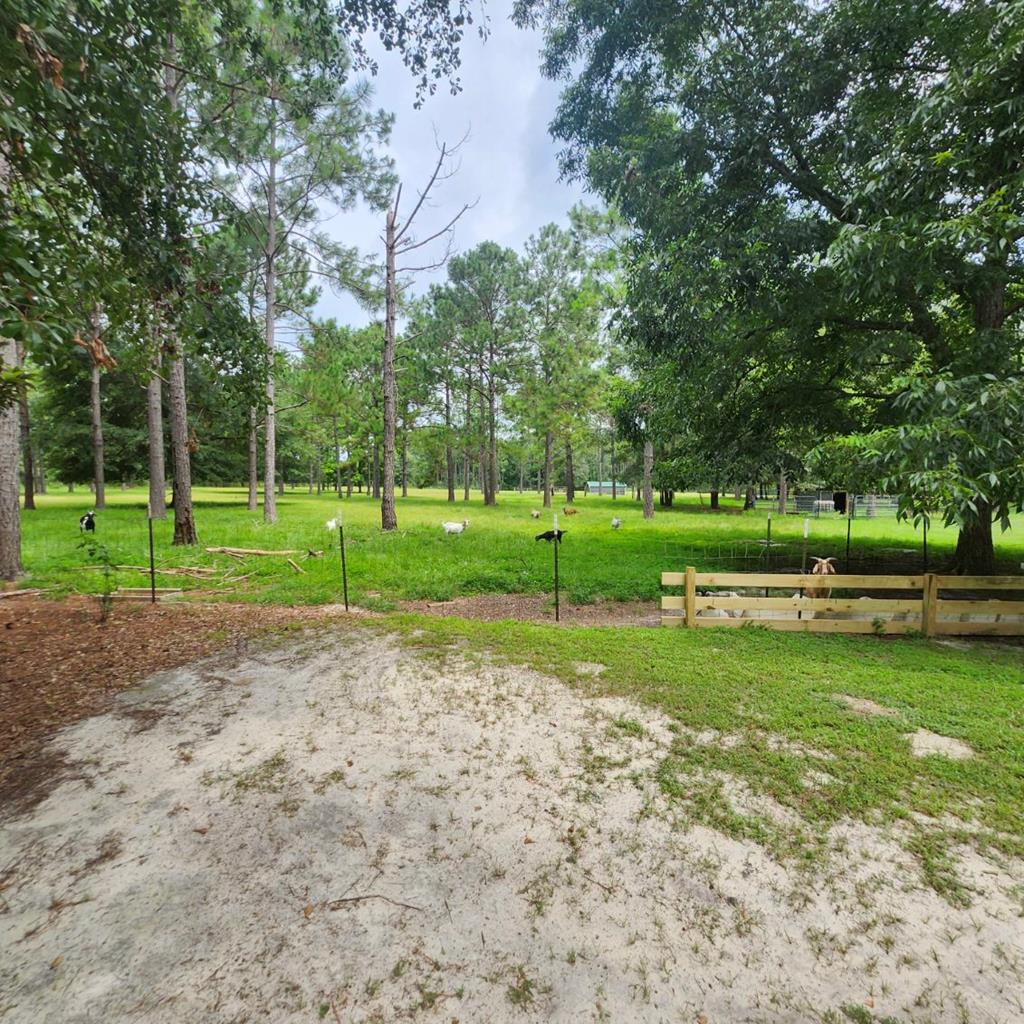 786 Blackberry Road Baconton, GA 31716 - Photo 40 of 67 Gallery Image 40