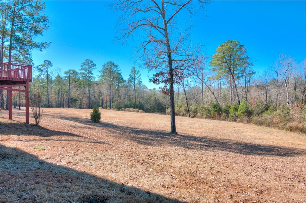 861 Colbert Bridge Road Aiken, SC 29803 - Photo 48 of 52