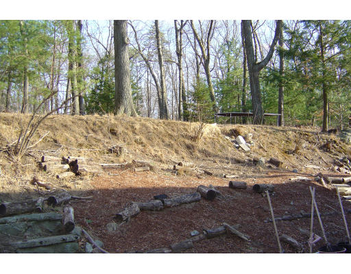 28 Richard Road Lexington, MA 02421 - Photo 2 of 5 a view of a yard with mountain
