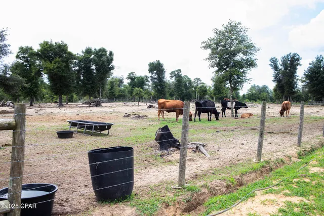 $499,900 | 20235 Bain Road, Fountain, FL 32438