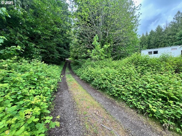 23942 South Powder Road Beavercreek, OR 97004 - Photo 2 of 5 a view of a garden with plants and large trees