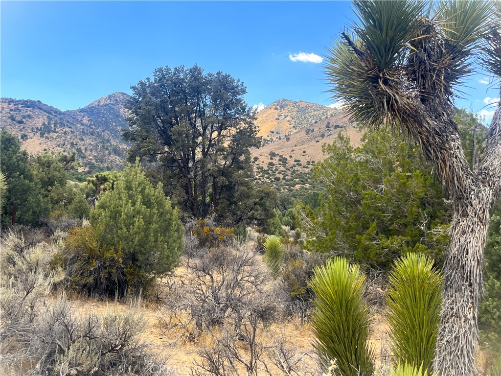 0 Pine Hollow Road Onyx, CA 93255 - Photo 5 of 10