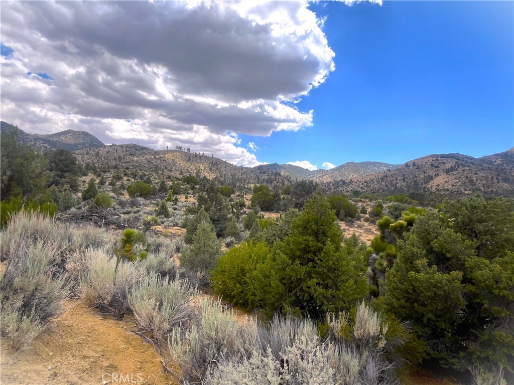 0 Pine Hollow Road Onyx, CA 93255 - Photo 8 of 10 View looking towards Southeasterly direction