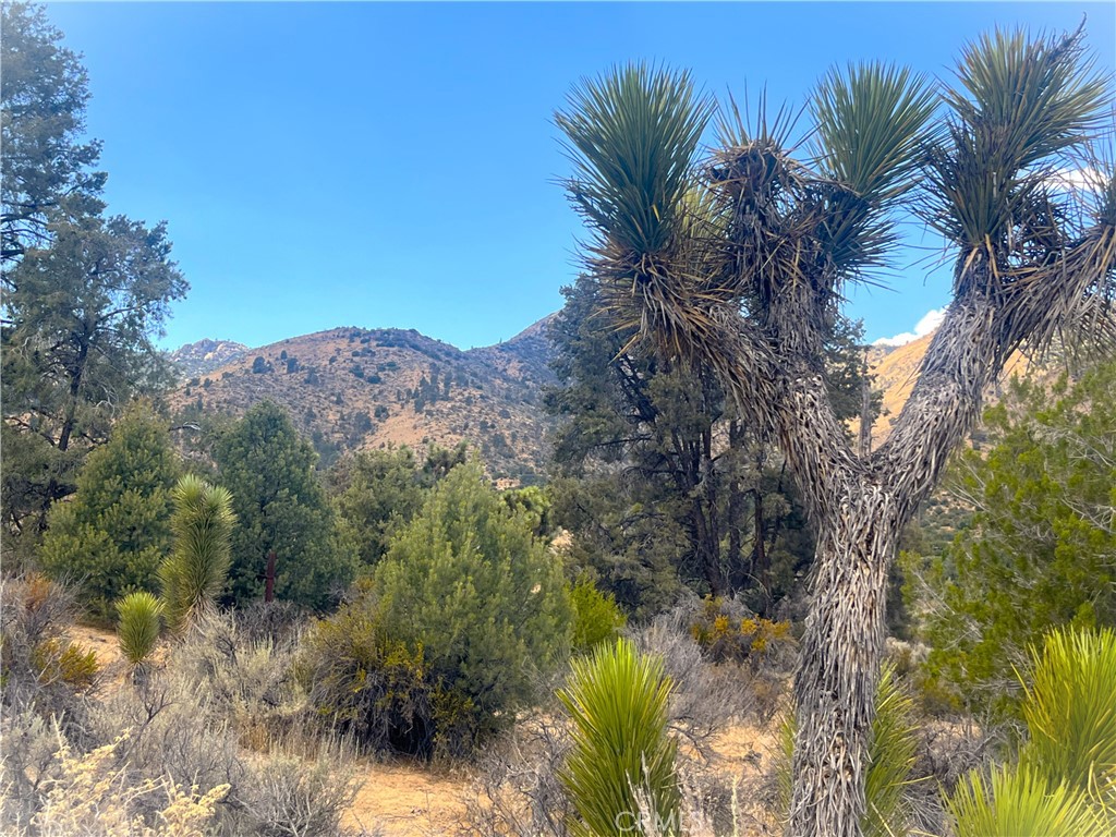 0 Pine Hollow Road Onyx, CA 93255 - Photo 9 of 10