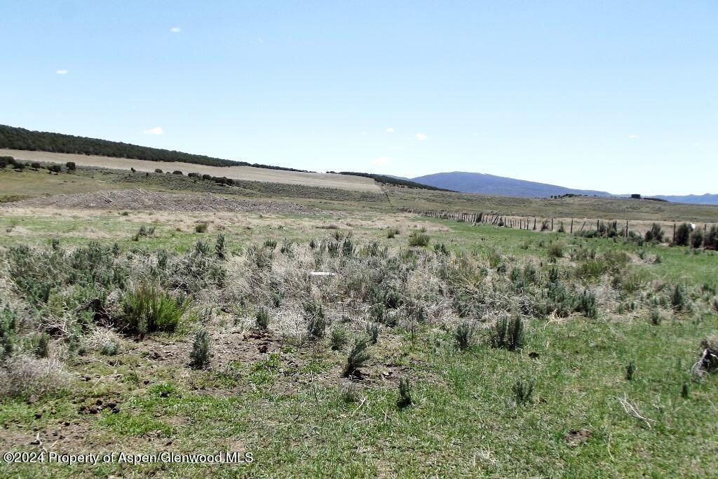 15 County Road 15 Meeker, CO 81641 - Photo 4 of 9 a view of a dry yard with wooden floor and mountain view