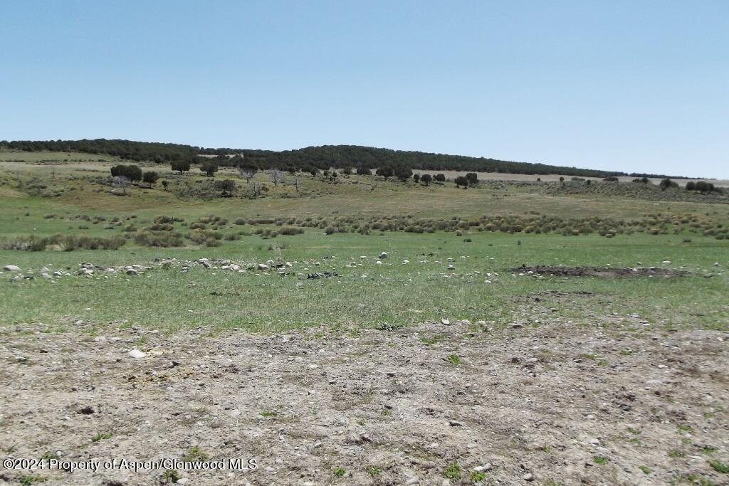 15 County Road 15 Meeker, CO 81641 - Photo 8 of 9 a view of a field with trees in background