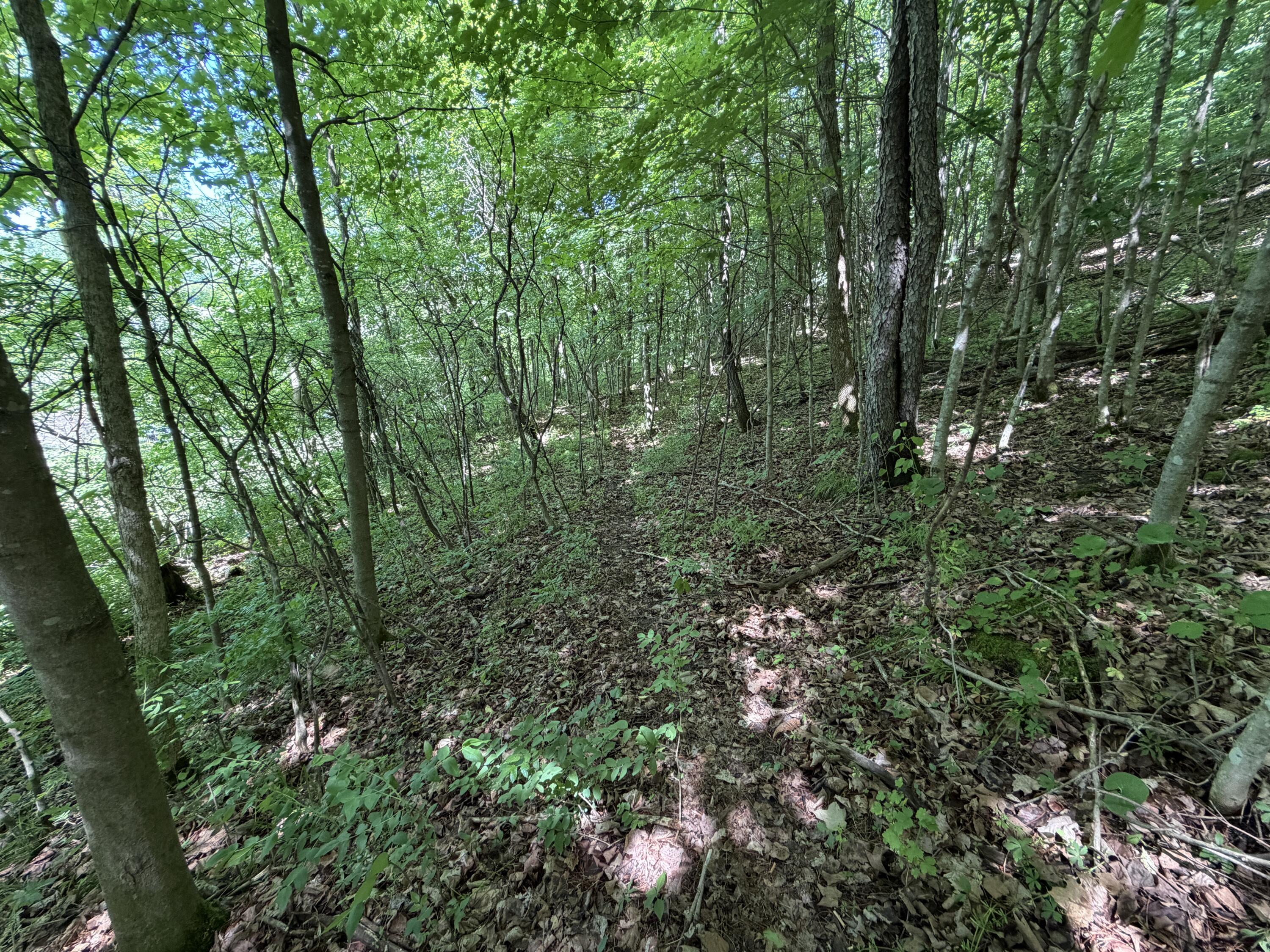 E12950 County Rd D Stark, WI 54639 - Photo 27 of 36 20260606_201130573_iOS