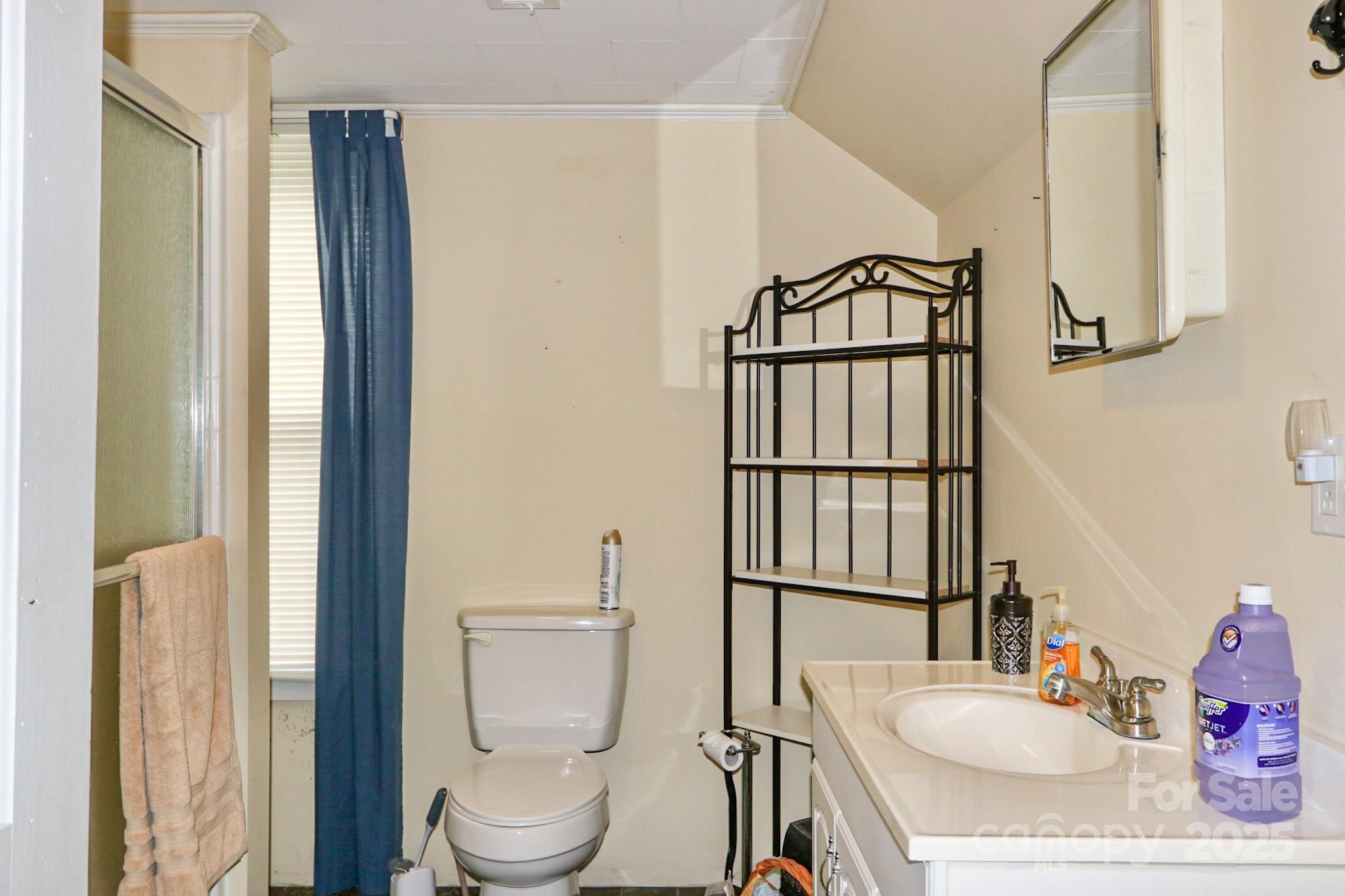 11979 Sparta Road McGrady, NC 28649 - Photo 33 of 48 a bathroom with a sink toilet and shower