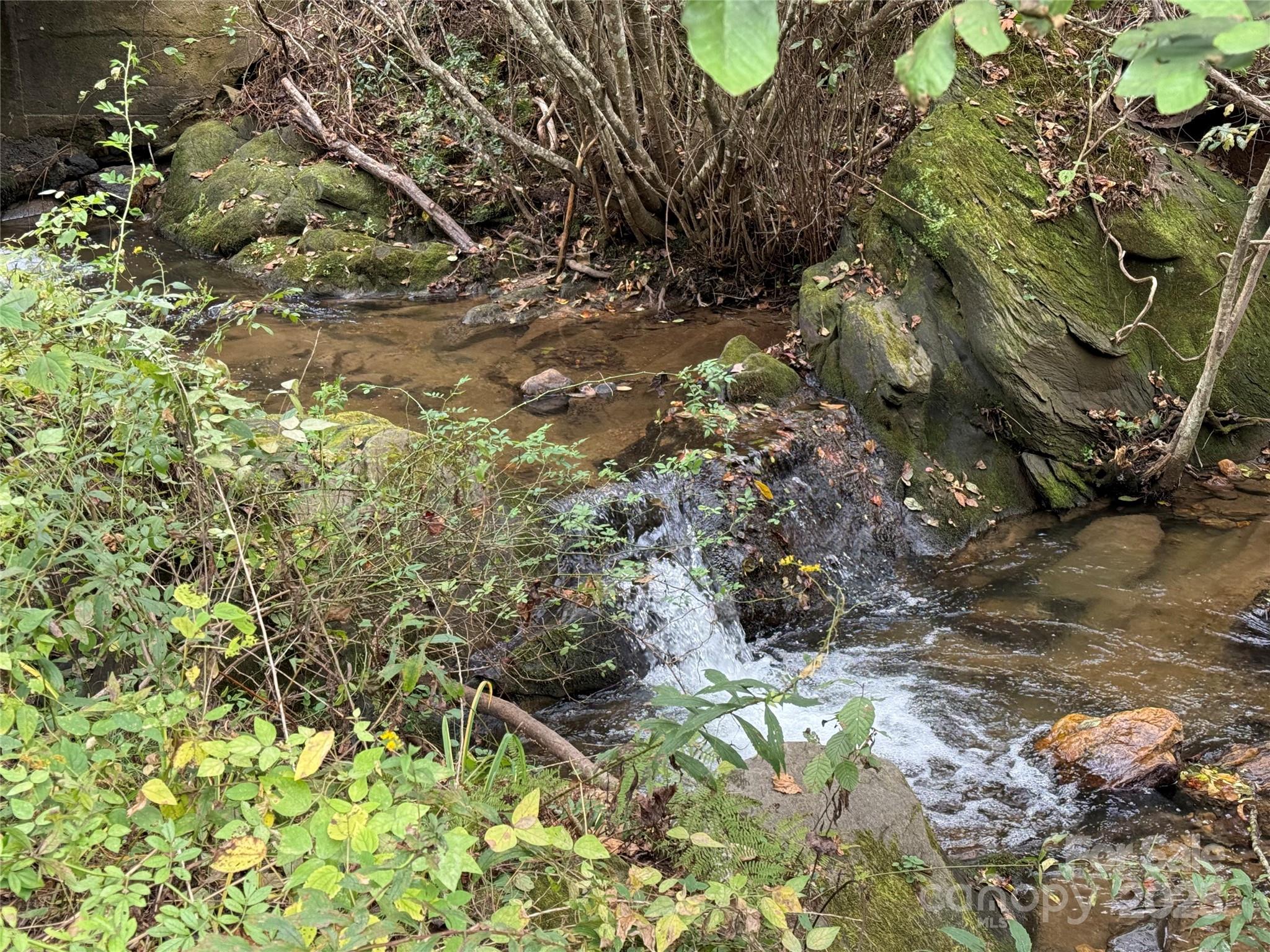 11979 Sparta Road McGrady, NC 28649 - Photo 39 of 48