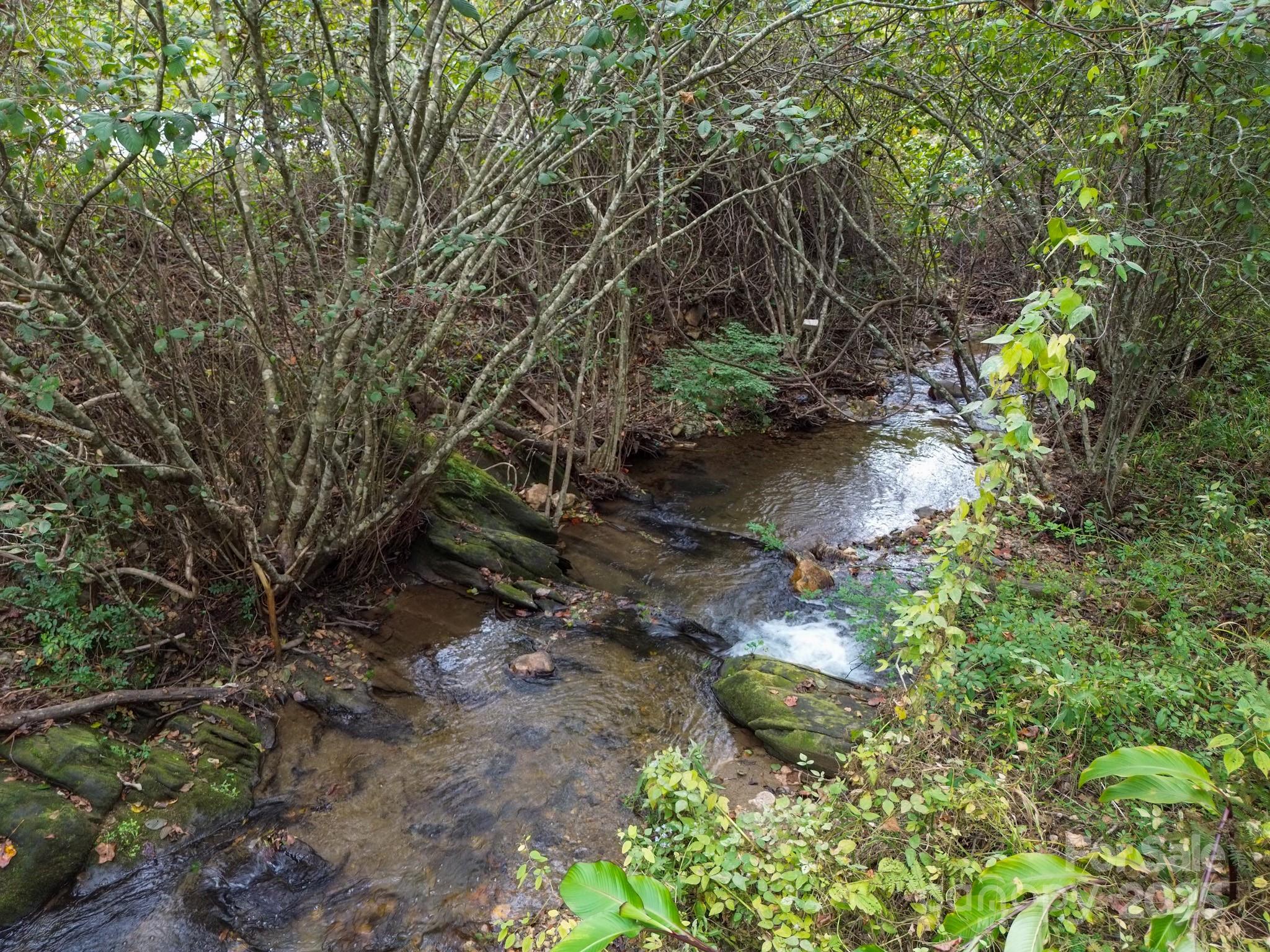 11979 Sparta Road McGrady, NC 28649 - Photo 4 of 48 a backyard of a house