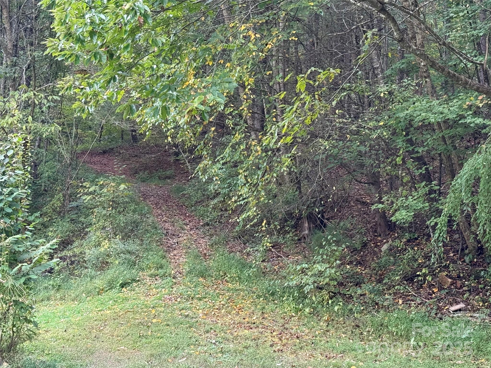 11979 Sparta Road McGrady, NC 28649 - Photo 41 of 48 a view of a yard