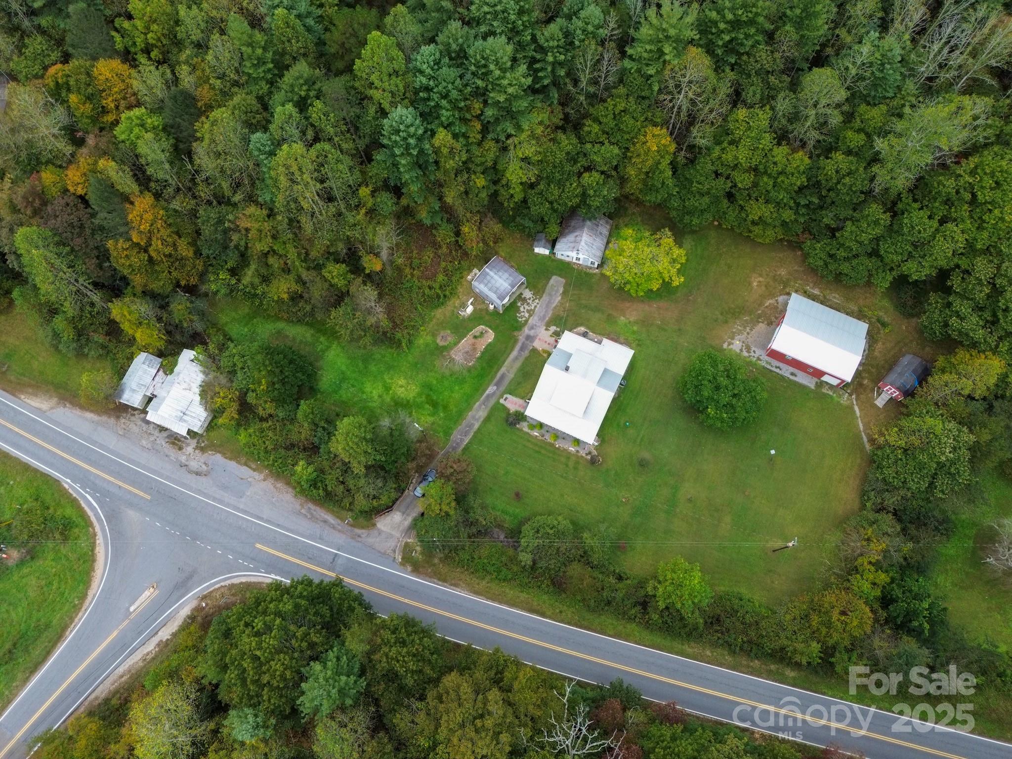 11979 Sparta Road McGrady, NC 28649 - Photo 48 of 48 a view of a yard with potted plants