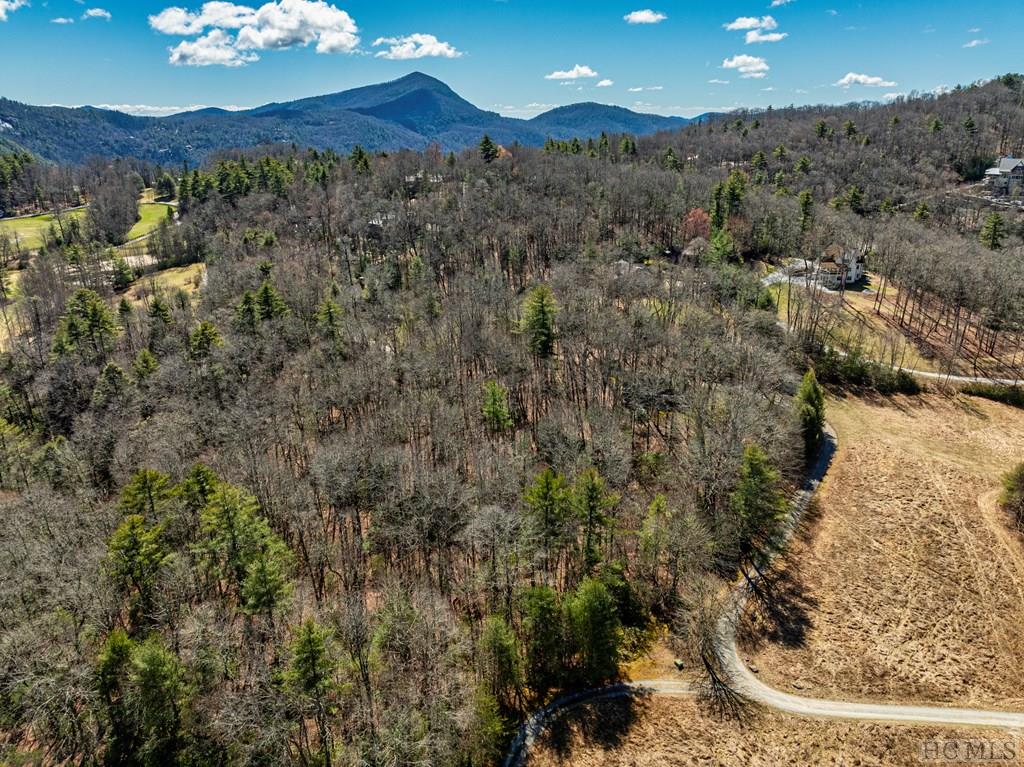 53 Timber Ridge Drive Sylva, NC 28779 - Photo 21 of 40 Gallery Image 21