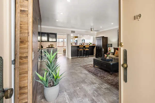 a living room filled with furniture and a potted plant