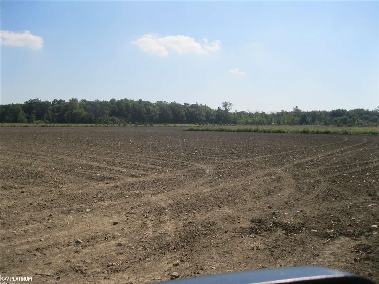 Ob Green Goodells, MI 48027 - Photo 10 of 10