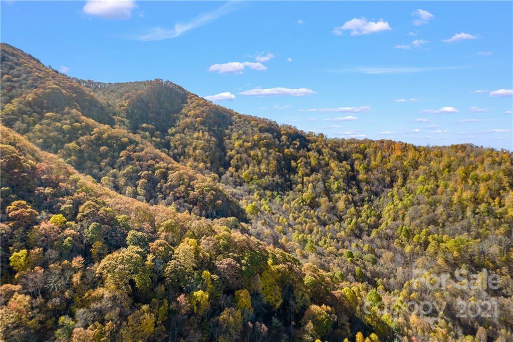 2226 Poplar Cove Road Clyde, NC 28721 - Photo 18 of 21 a view of mountain