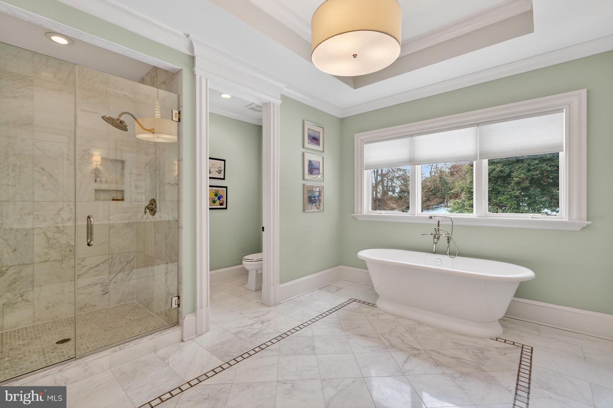 1420 Kurtz Road McLean, VA 22101 - Photo 16 of 36 Owner's Spa Bath