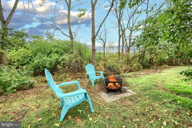 a view of a back yard with a tree