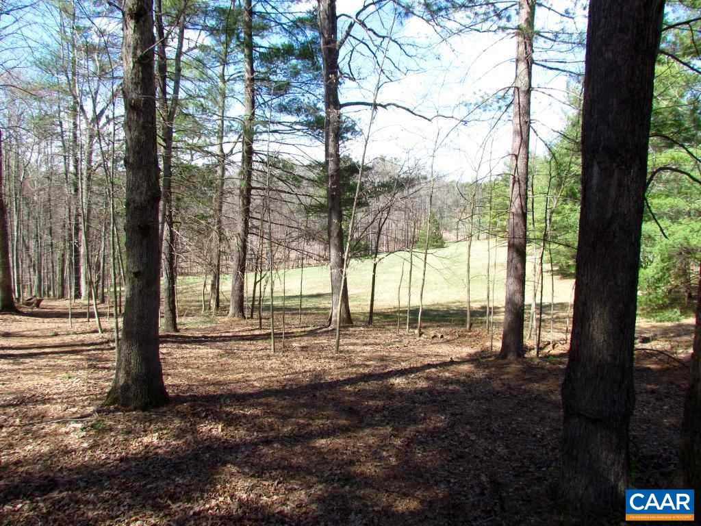 27 Suffolk Road Charlottesville, VA 22901 - Photo 1 of 1 Gallery Image 1