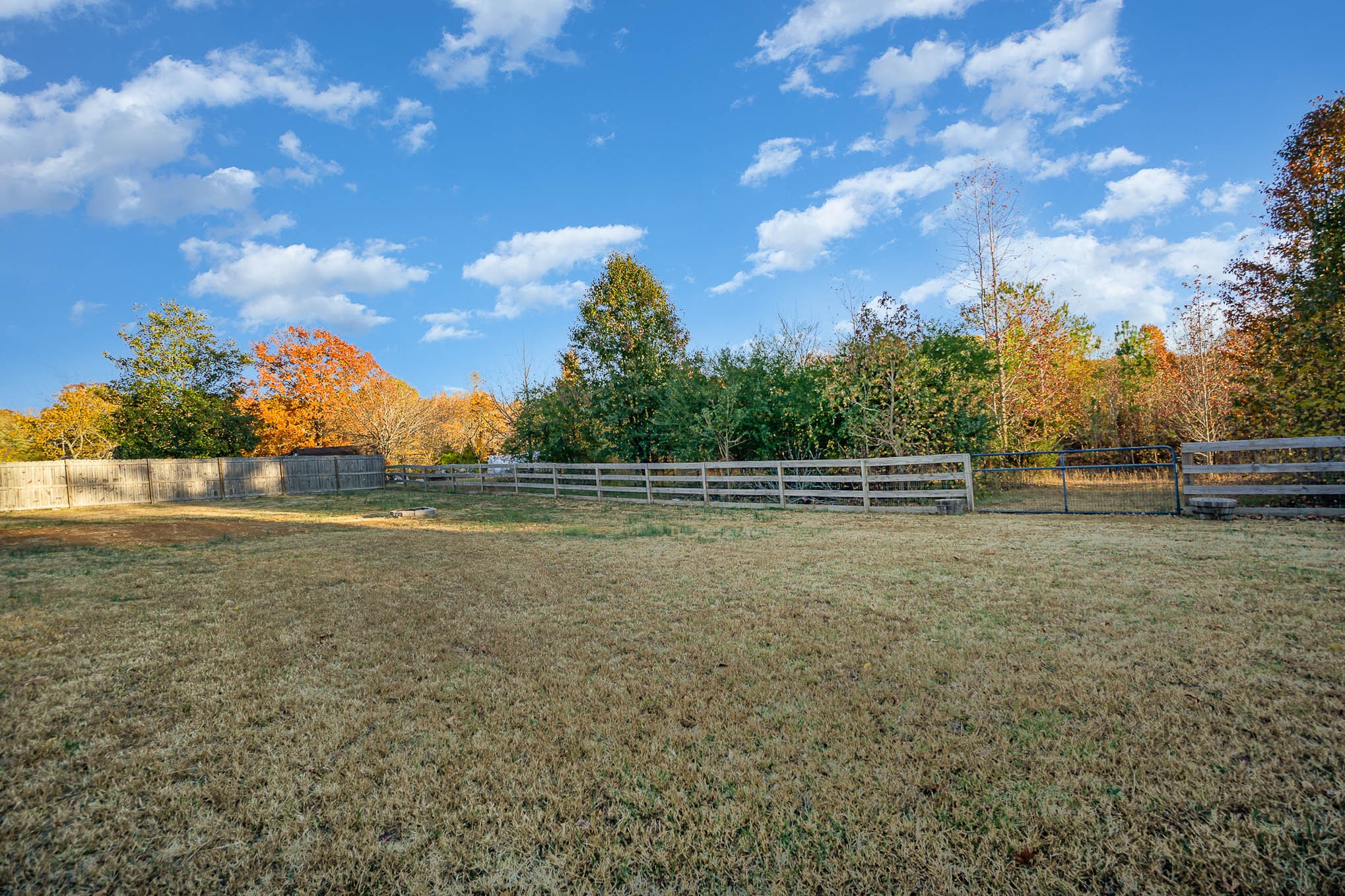 1679 Eno Road Dickson, TN 37055 - Photo 3 of 36 a view of backyard with green space