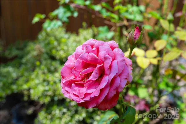 $460,000 | 6 Frisby Street, Fletcher, NC 28732