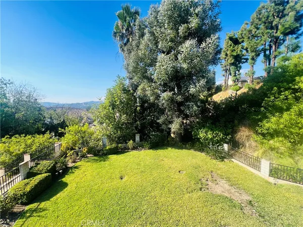 a view of a garden with plants and large trees