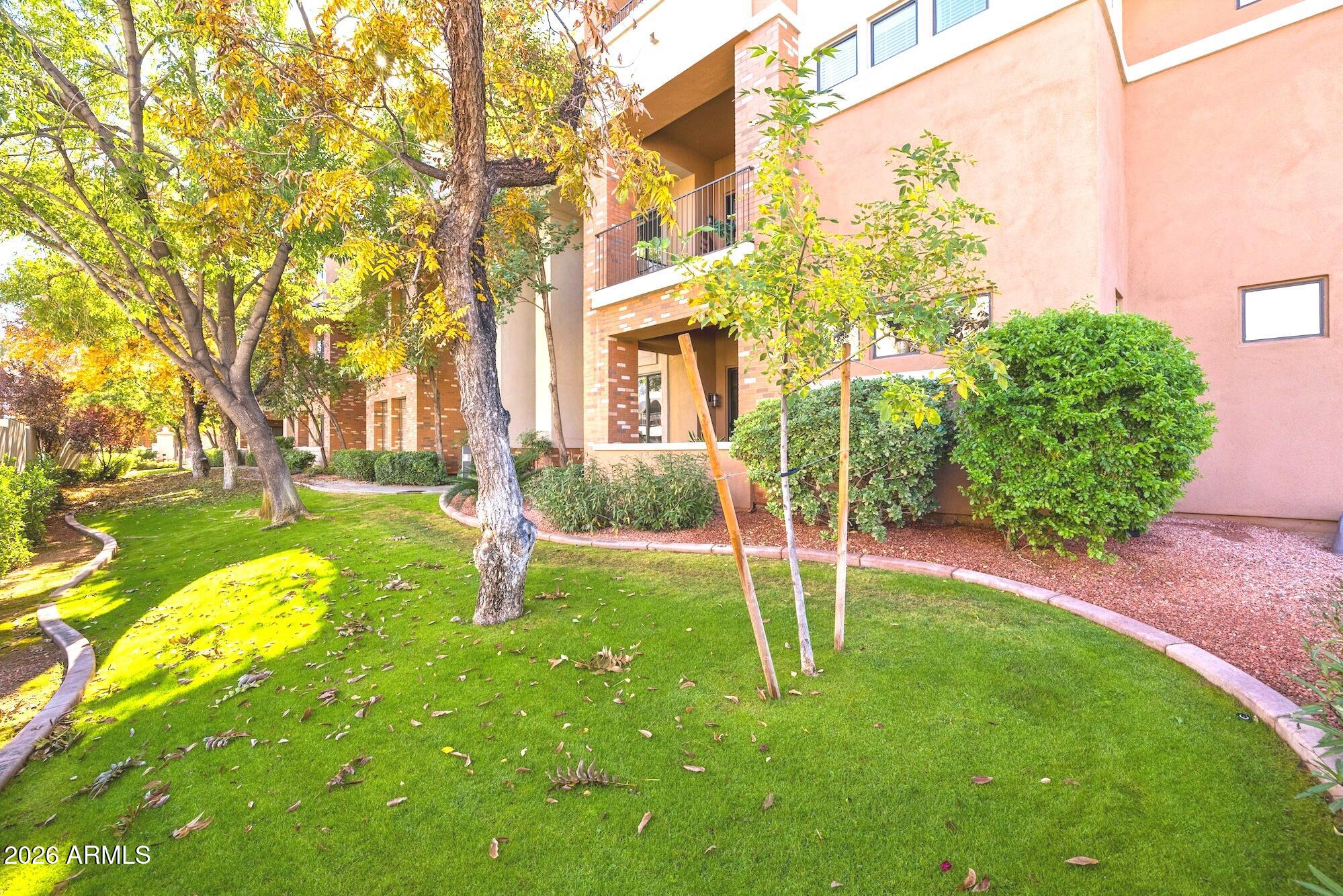 2989 North 44th Street, Unit 2023 Phoenix, AZ 85018 - Photo 20 of 20 a view of a house with a backyard and a tree