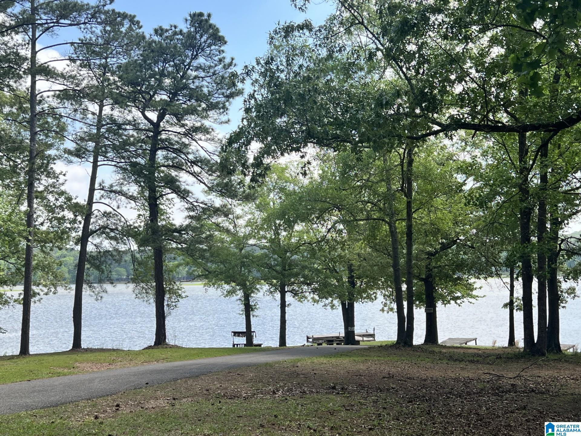 610 Tomahawk Trail Riverside, AL 35135 - Photo 16 of 20