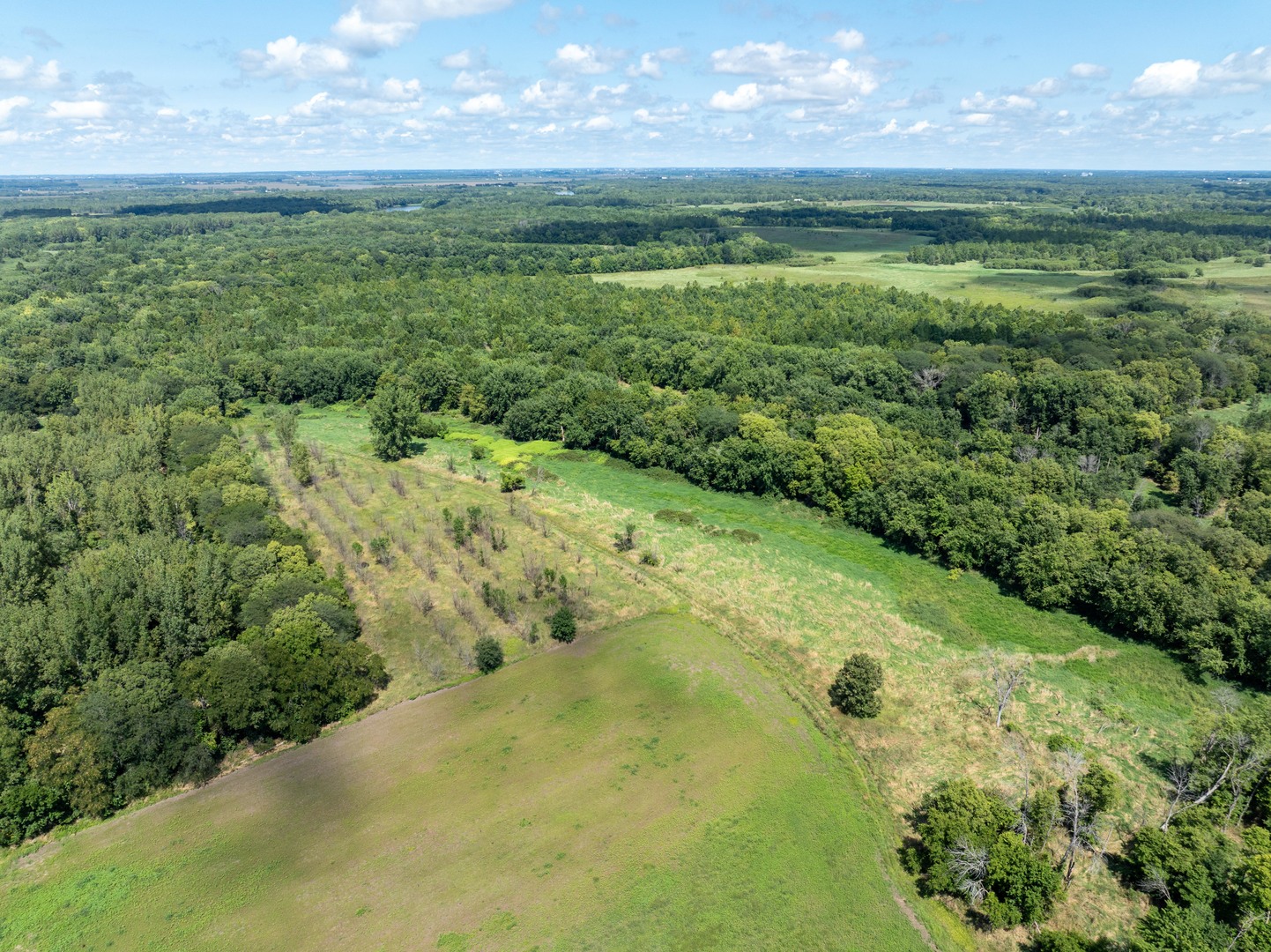a view of a big yard with lots of green space and mountain view