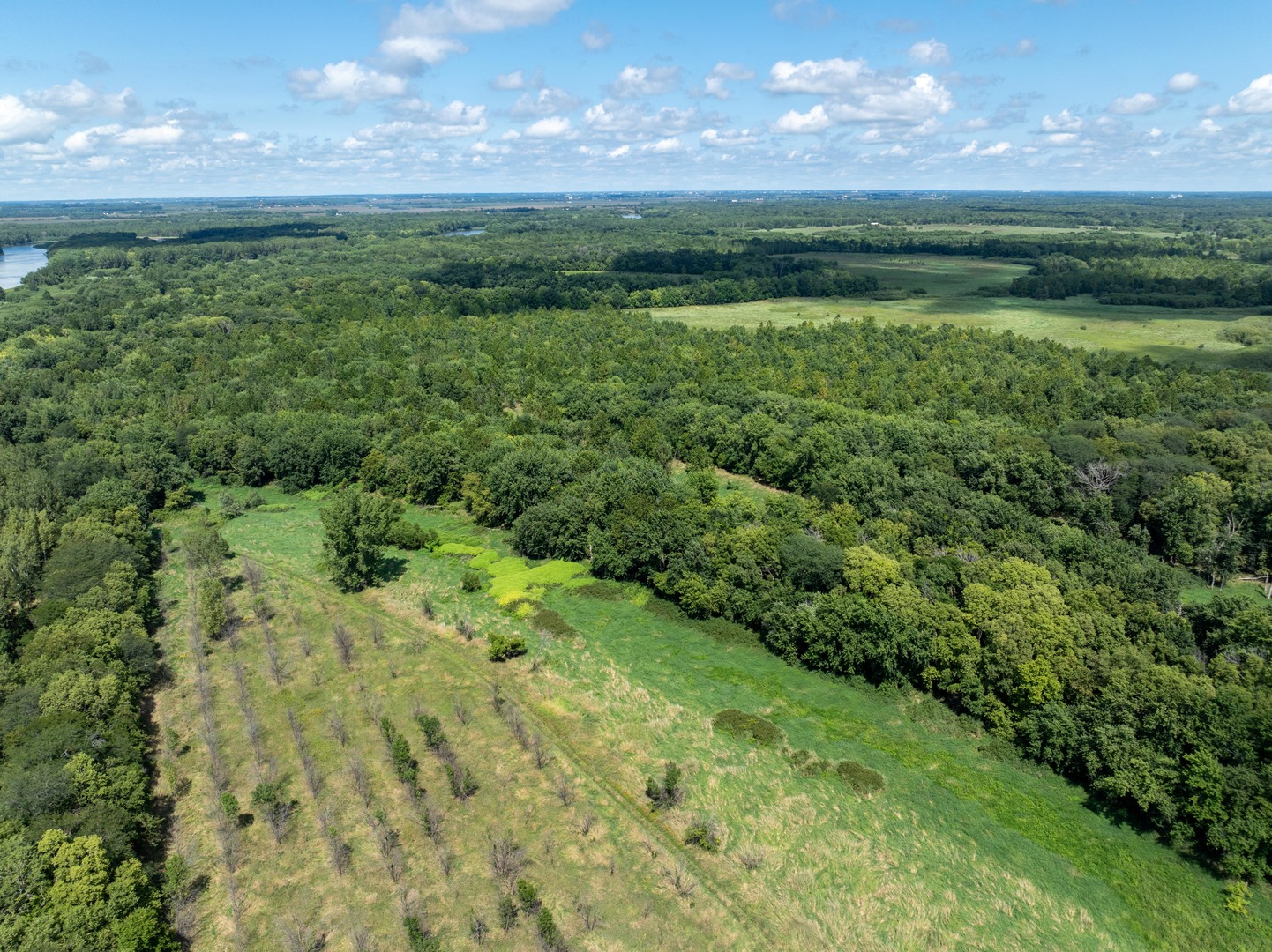 0 Banks Road Erie, IL 61250 - Photo 2 of 71 a view of a green field with lots of green space in the background