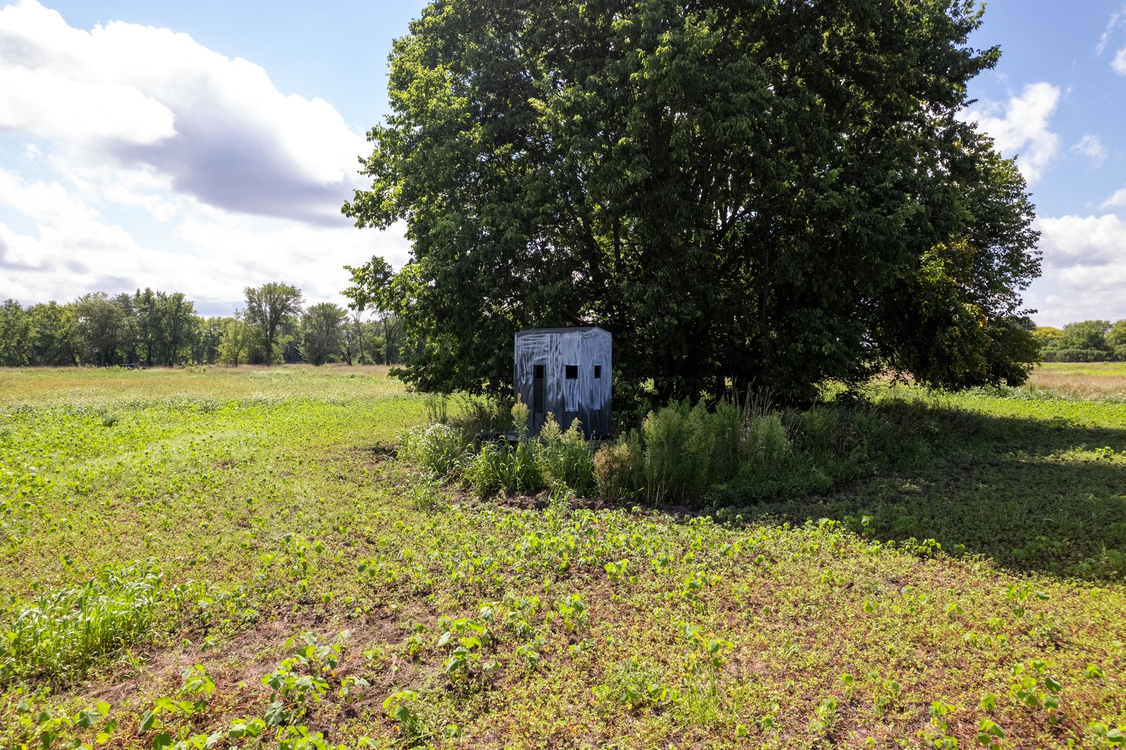 0 Banks Road Erie, IL 61250 - Photo 21 of 71 a view of a field with a tree