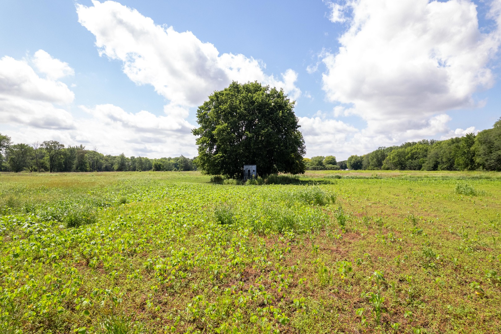 0 Banks Road Erie, IL 61250 - Photo 24 of 71 a view of a green field with wooden fence