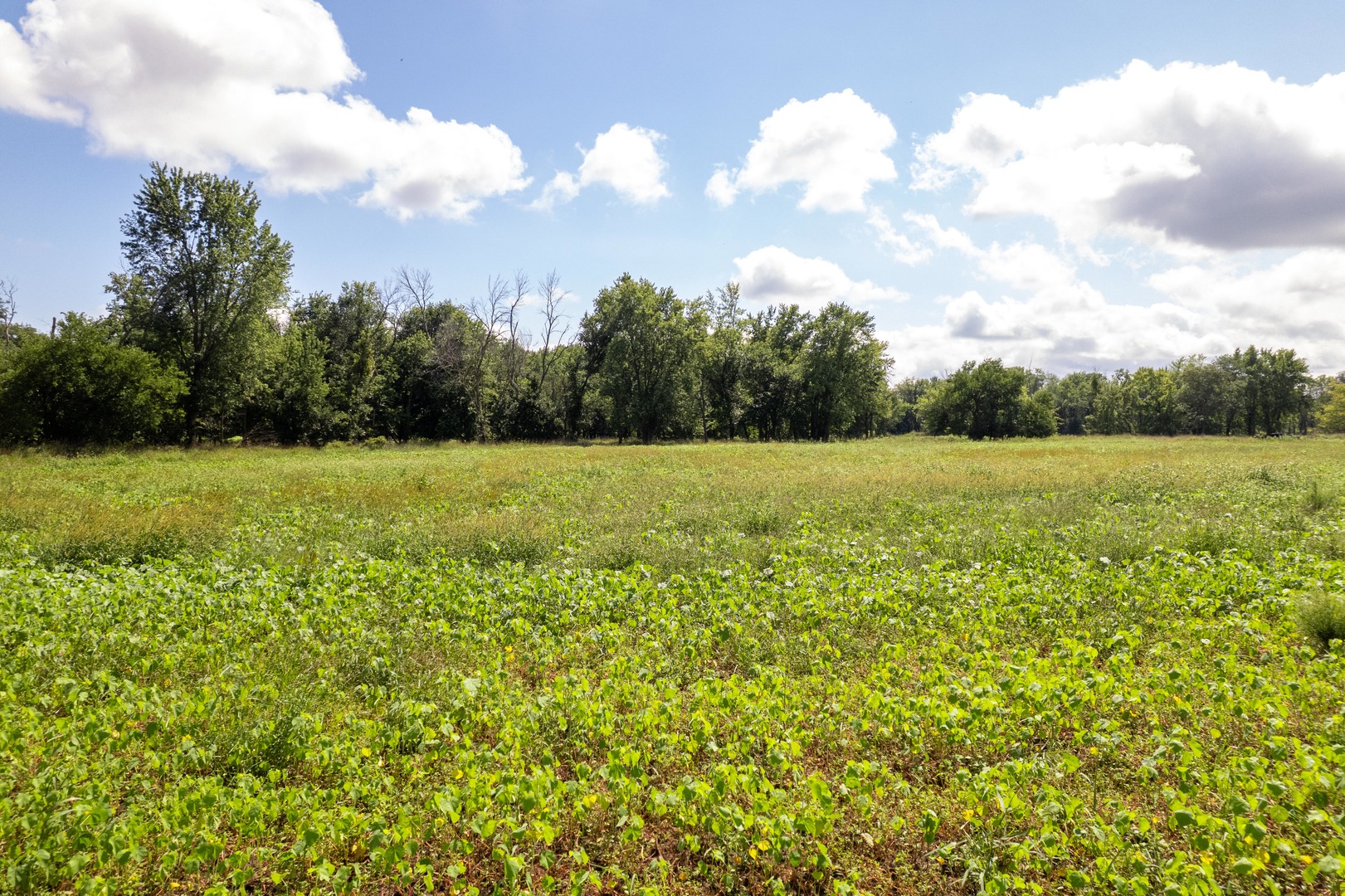0 Banks Road Erie, IL 61250 - Photo 25 of 71 a view of a field with an trees in the background