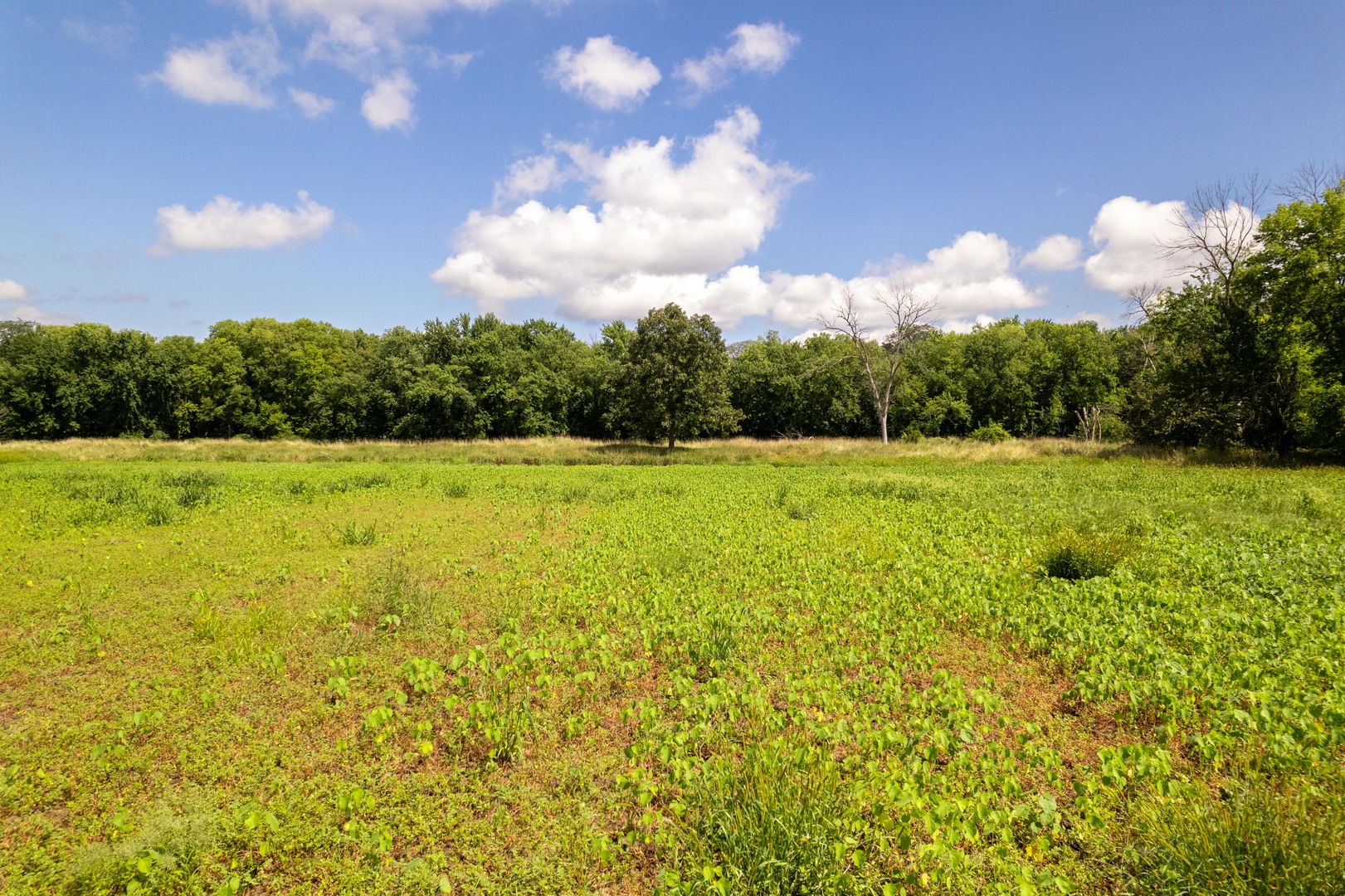 0 Banks Road Erie, IL 61250 - Photo 26 of 71