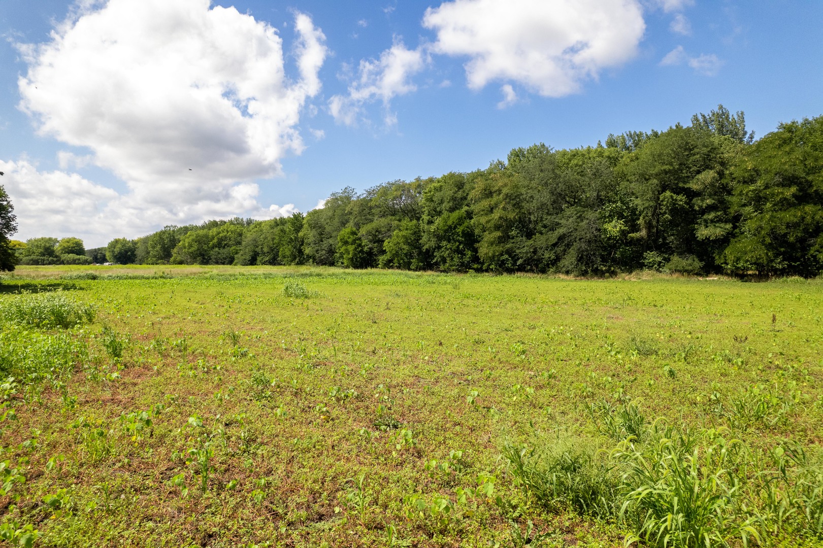 0 Banks Road Erie, IL 61250 - Photo 28 of 71 a view of a lake with a yard