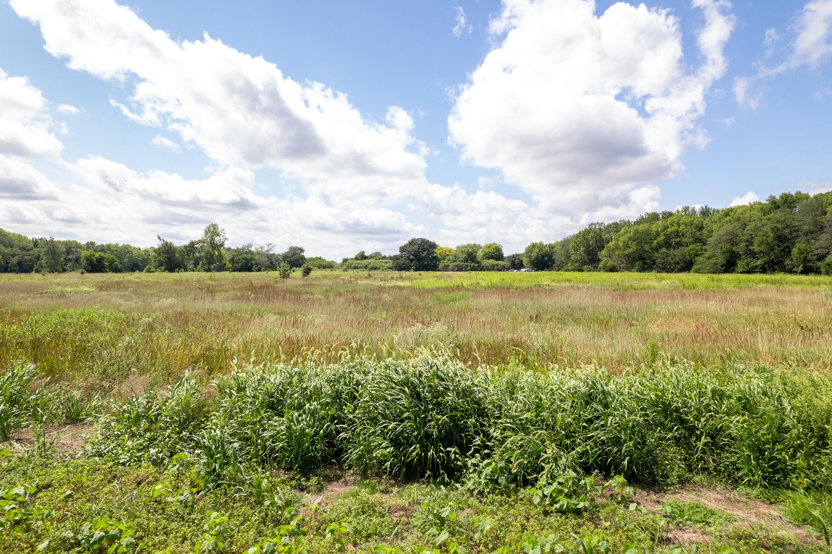0 Banks Road Erie, IL 61250 - Photo 29 of 71 a view of a lake with houses in the back