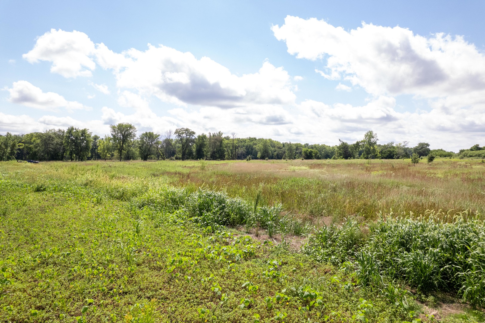 0 Banks Road Erie, IL 61250 - Photo 30 of 71 a view of a lake with a big yard