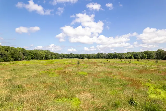 a view of a yard with an outdoor space
