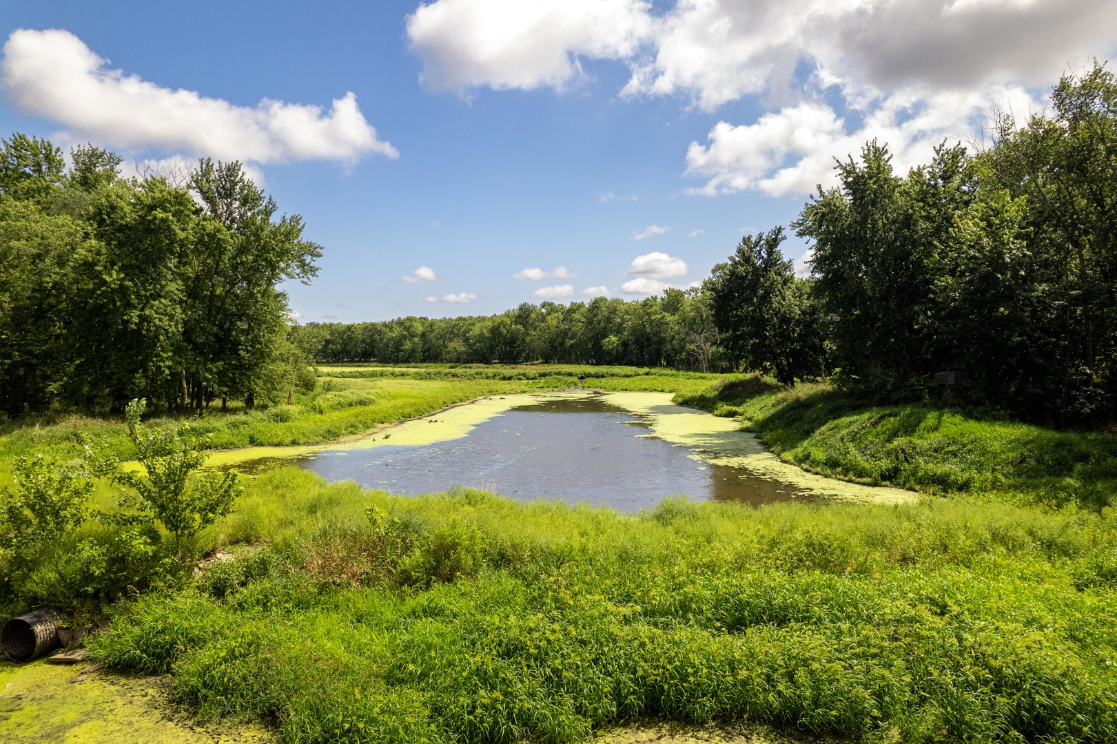 0 Banks Road Erie, IL 61250 - Photo 38 of 71 a view of yard with swimming pool and green space
