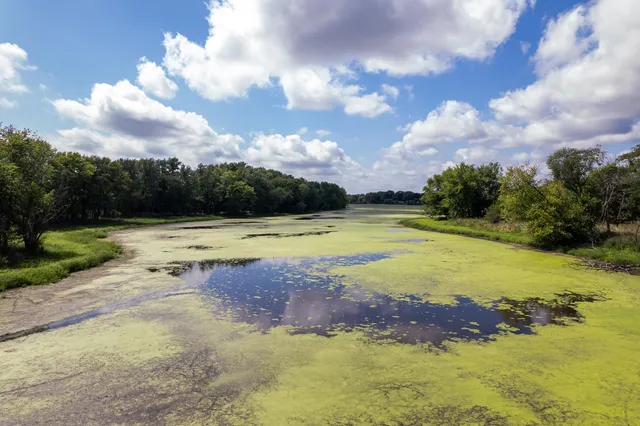 a view of a lush green field