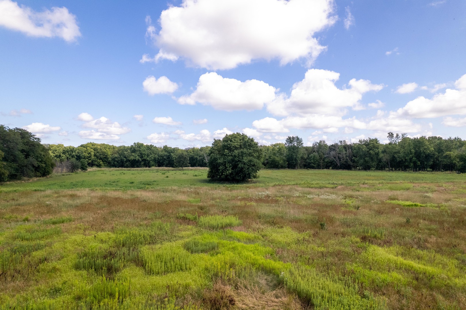 0 Banks Road Erie, IL 61250 - Photo 41 of 71 a view of outdoor space with green field and trees