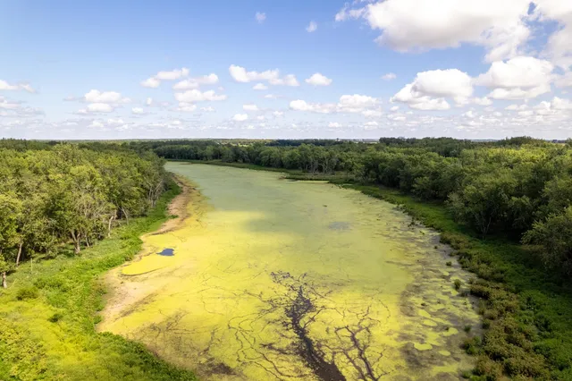 a view of a garden with a lake