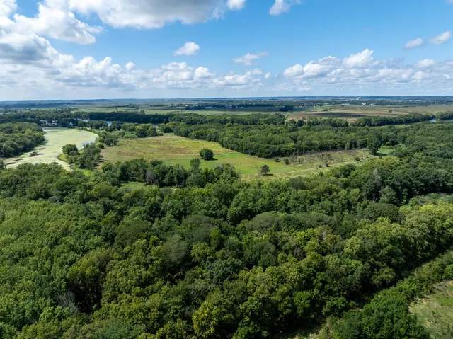 a view of a lush green forest
